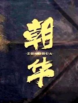 朝华HD