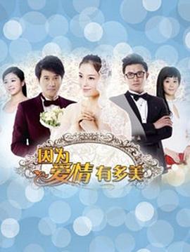 因为爱情有多美DVD版第45集
