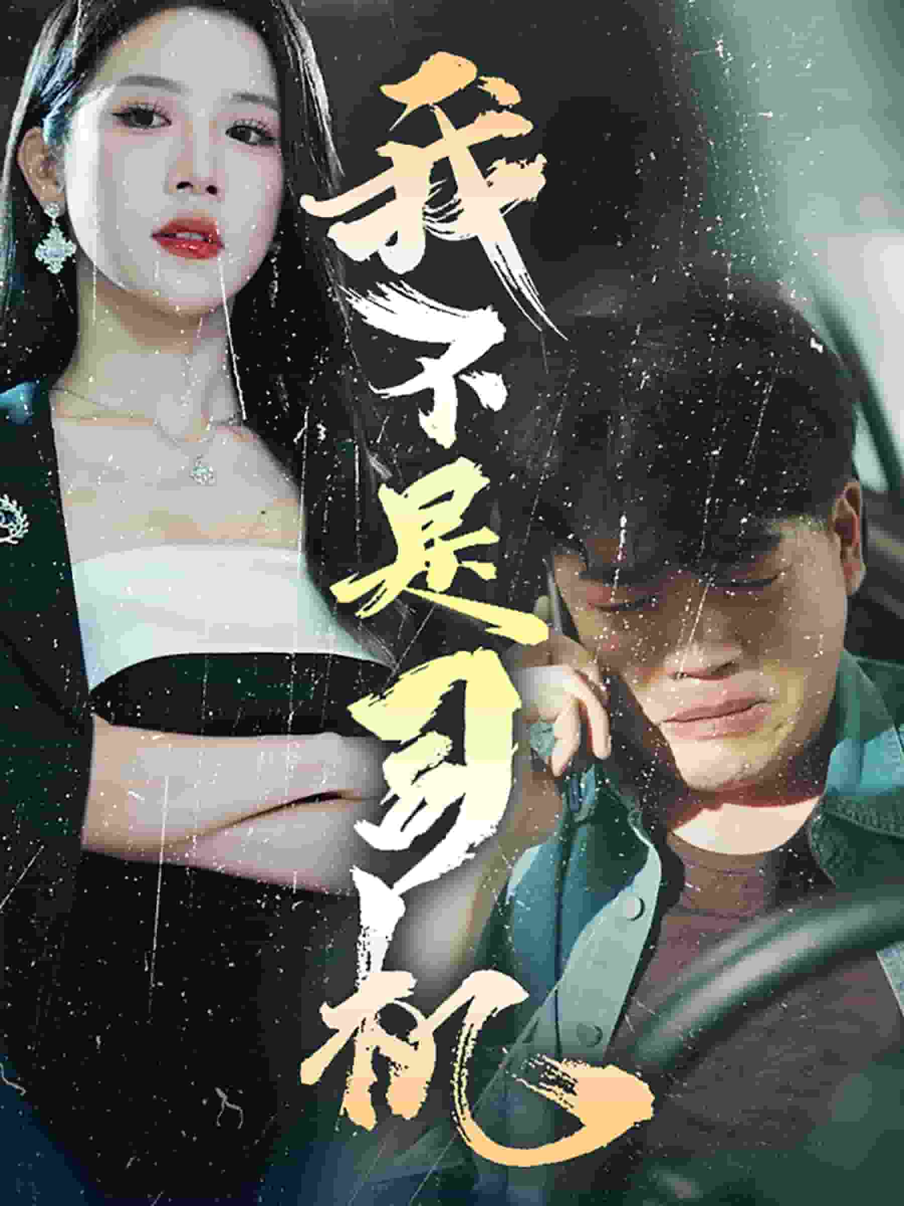 我不是司机第25集