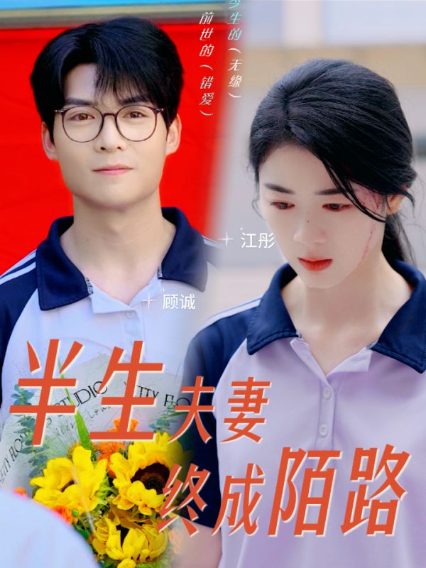 半生夫妻终成陌路第24集