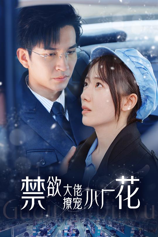 禁欲大佬撩宠小厂花第15集