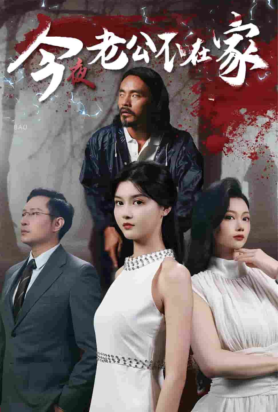 今夜老公不在家第41集