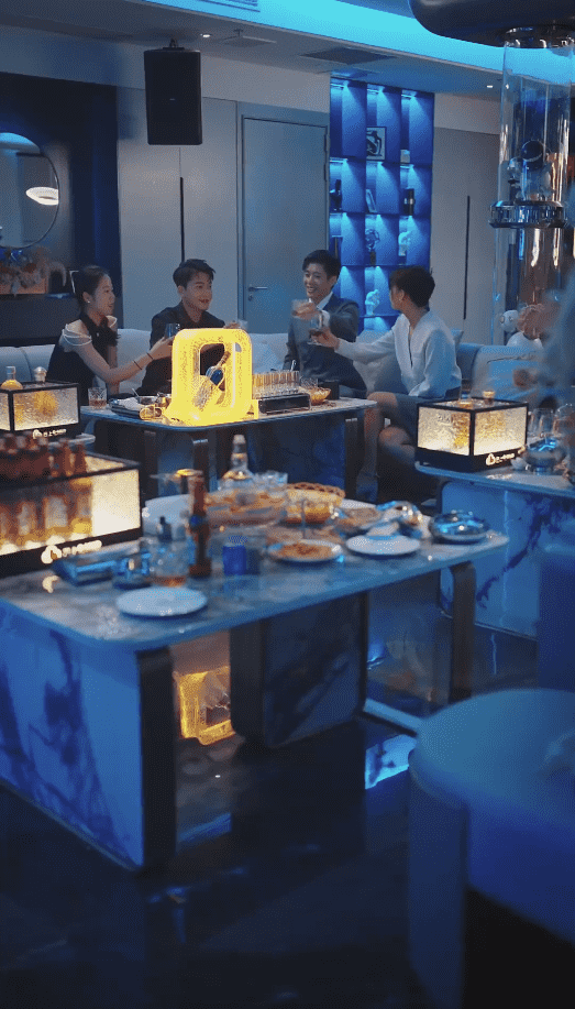 不原谅不复合苏小姐独美第46集