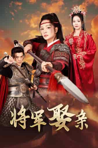 将军娶亲第01集