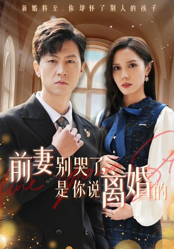 前妻别哭了是你说离婚的第22集