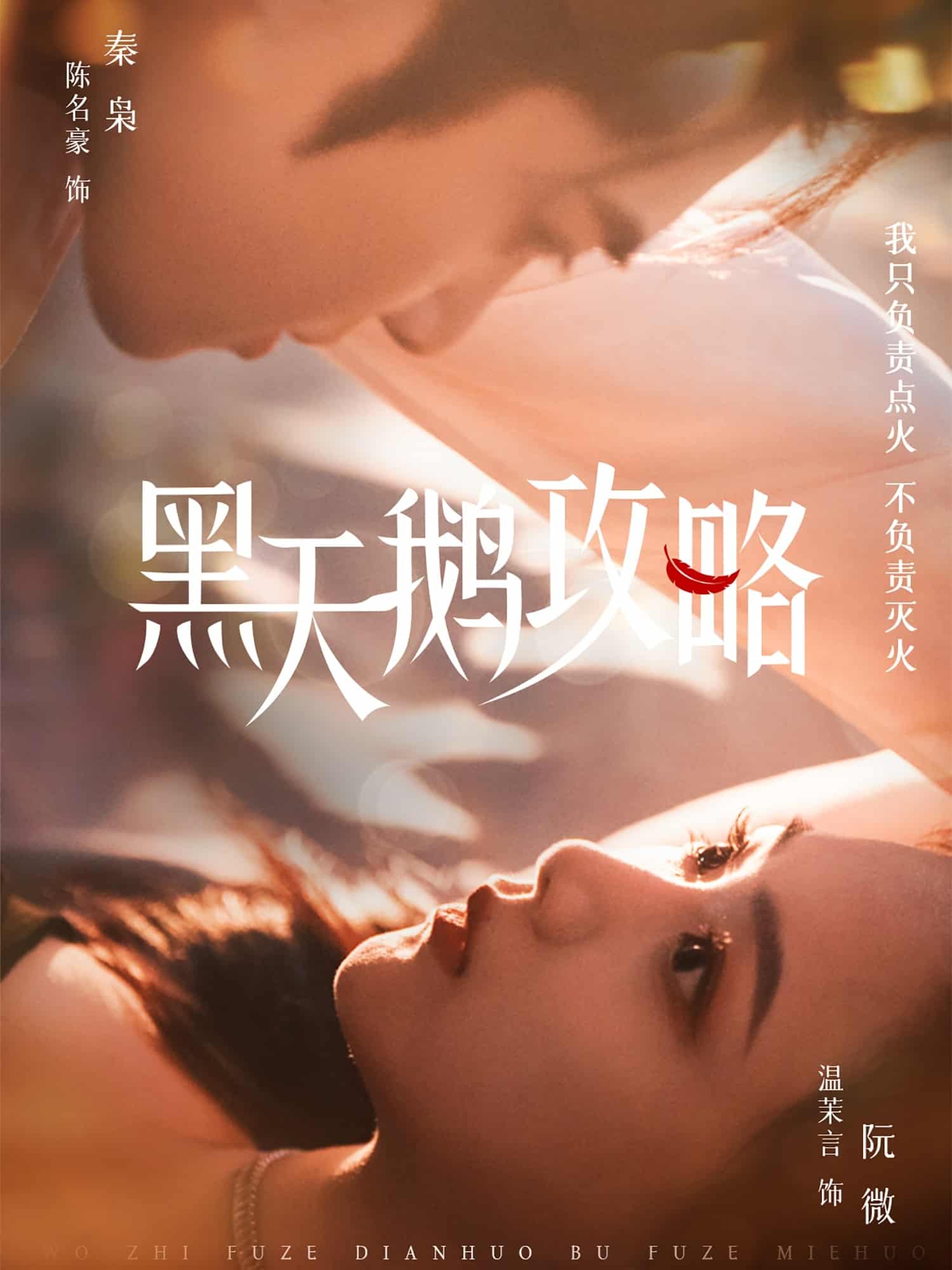 黑天鹅攻略(全集)
