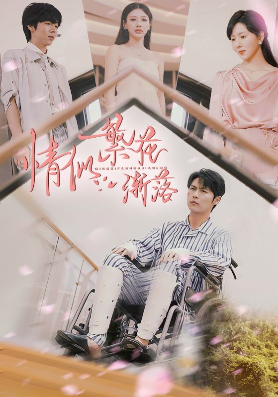 情似繁花渐落第8集
