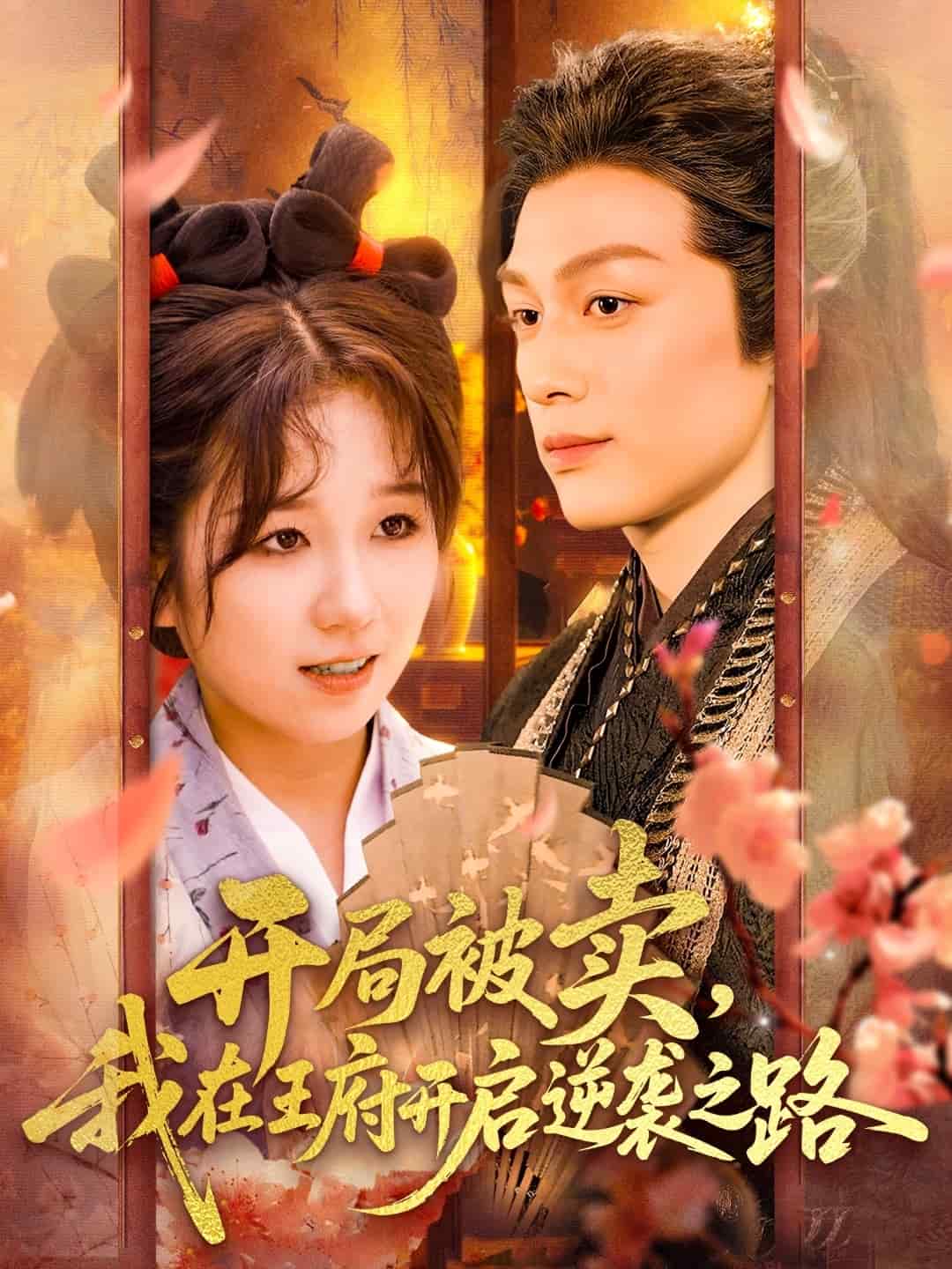 开局被卖我在王府开启逆袭之路第2集