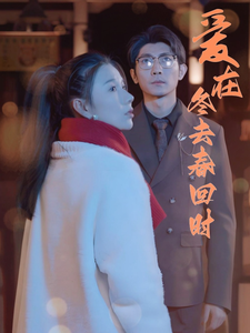 爱在冬去春回时第12集