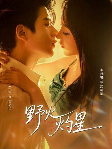 野火灼星(全集)