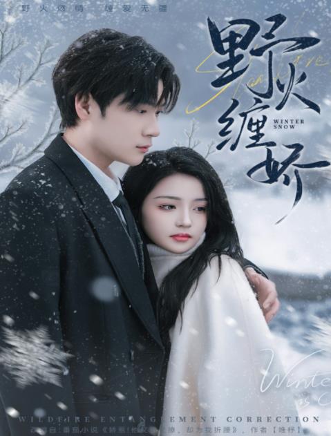 野火缠娇(全集)