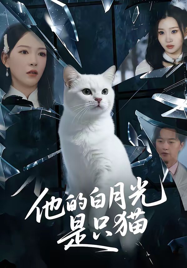 他的白月光是只猫(全集)