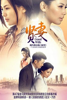 贤妻2013第14集