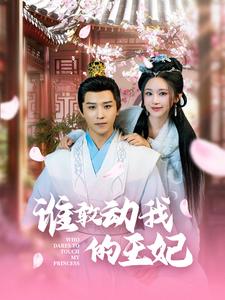 谁敢动我的王妃第42集
