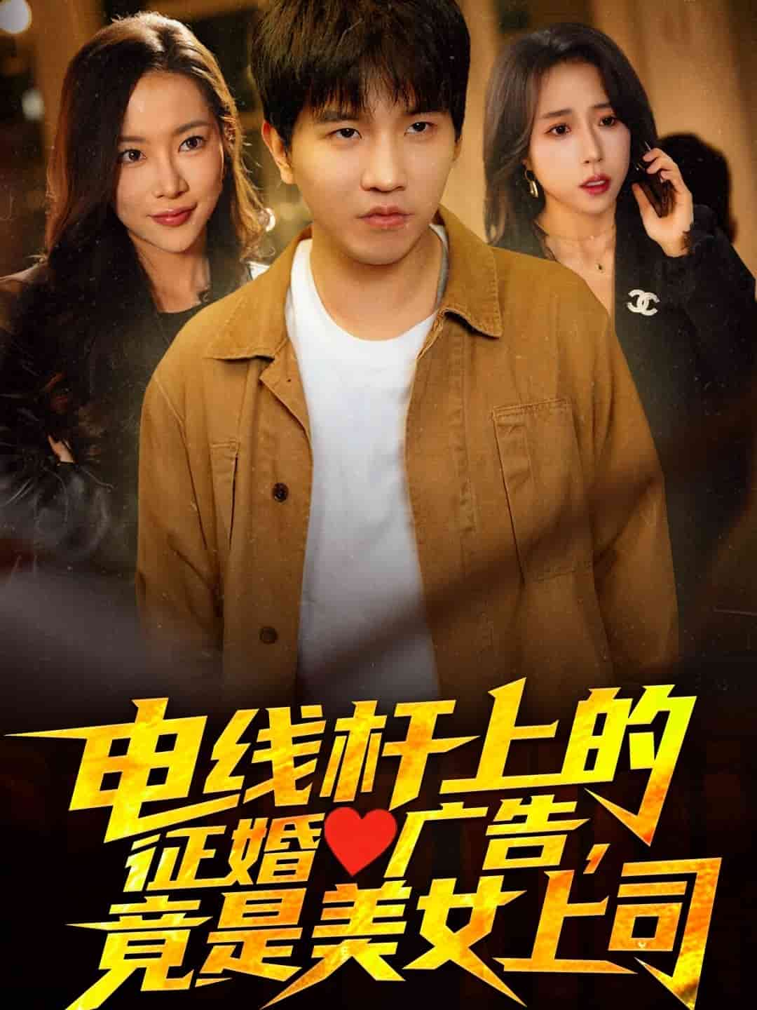 电线杆上的征婚广告，竟是美女上司(全集)