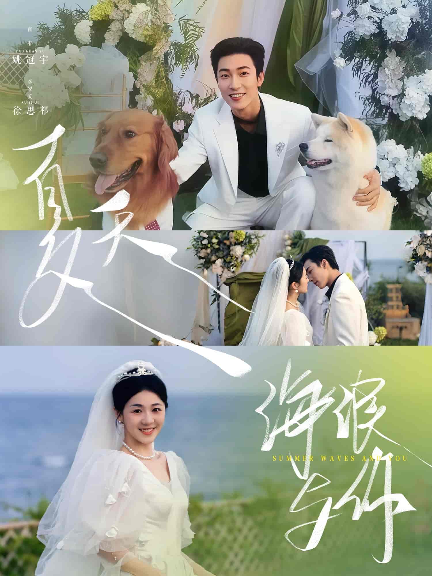 夏天，海浪与你(全集)