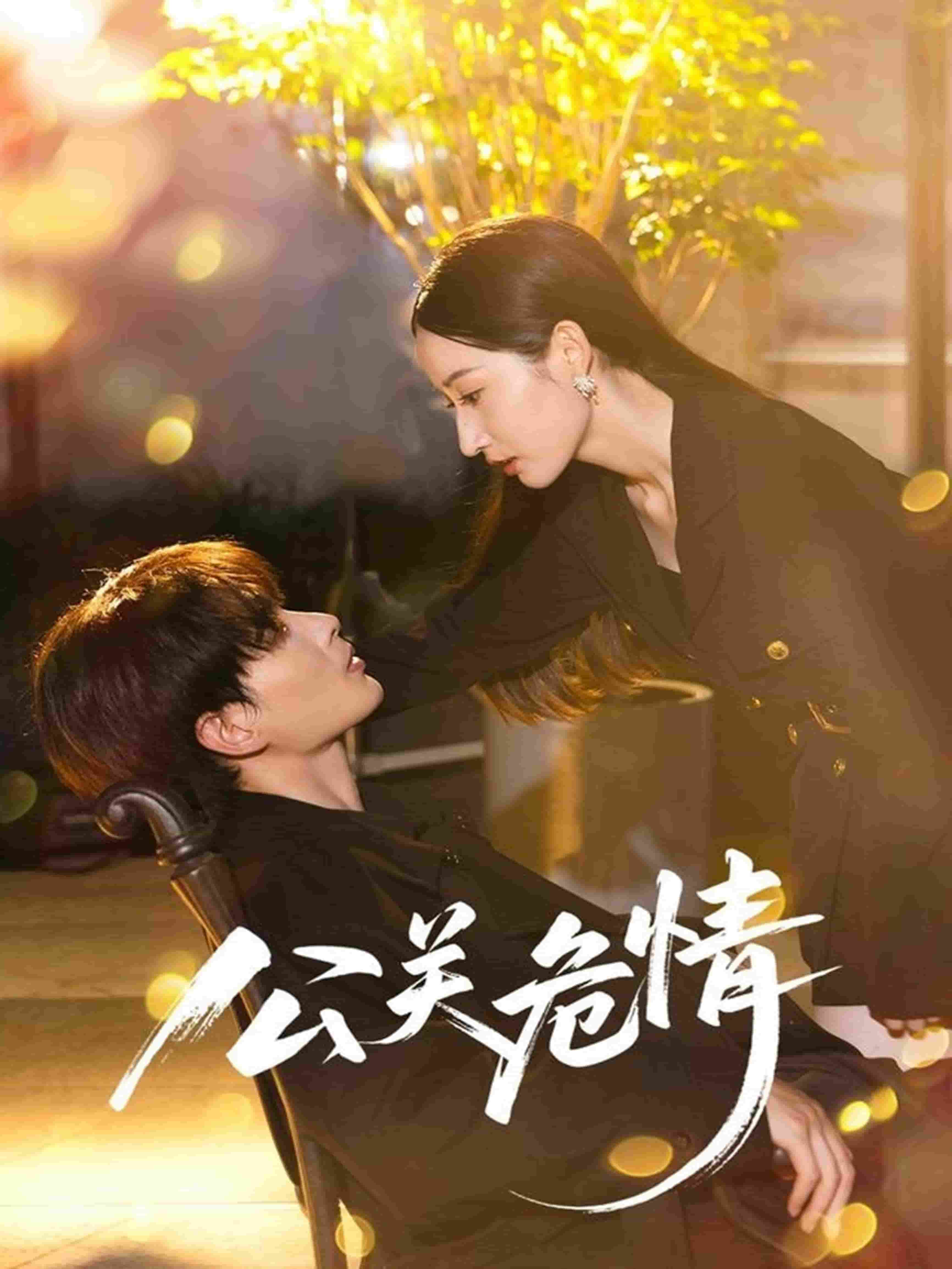 公关危情(全集)