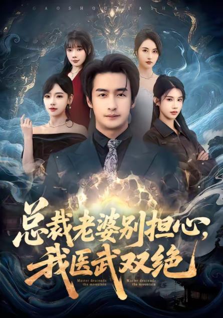 总裁老婆别担心，我医武双绝(全集)