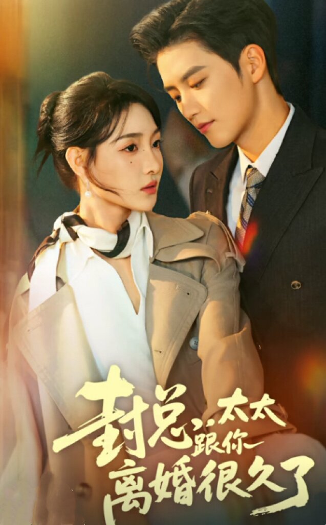 封总，太太跟你离婚很久了(全集)